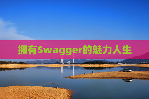 拥有Swagger的魅力人生